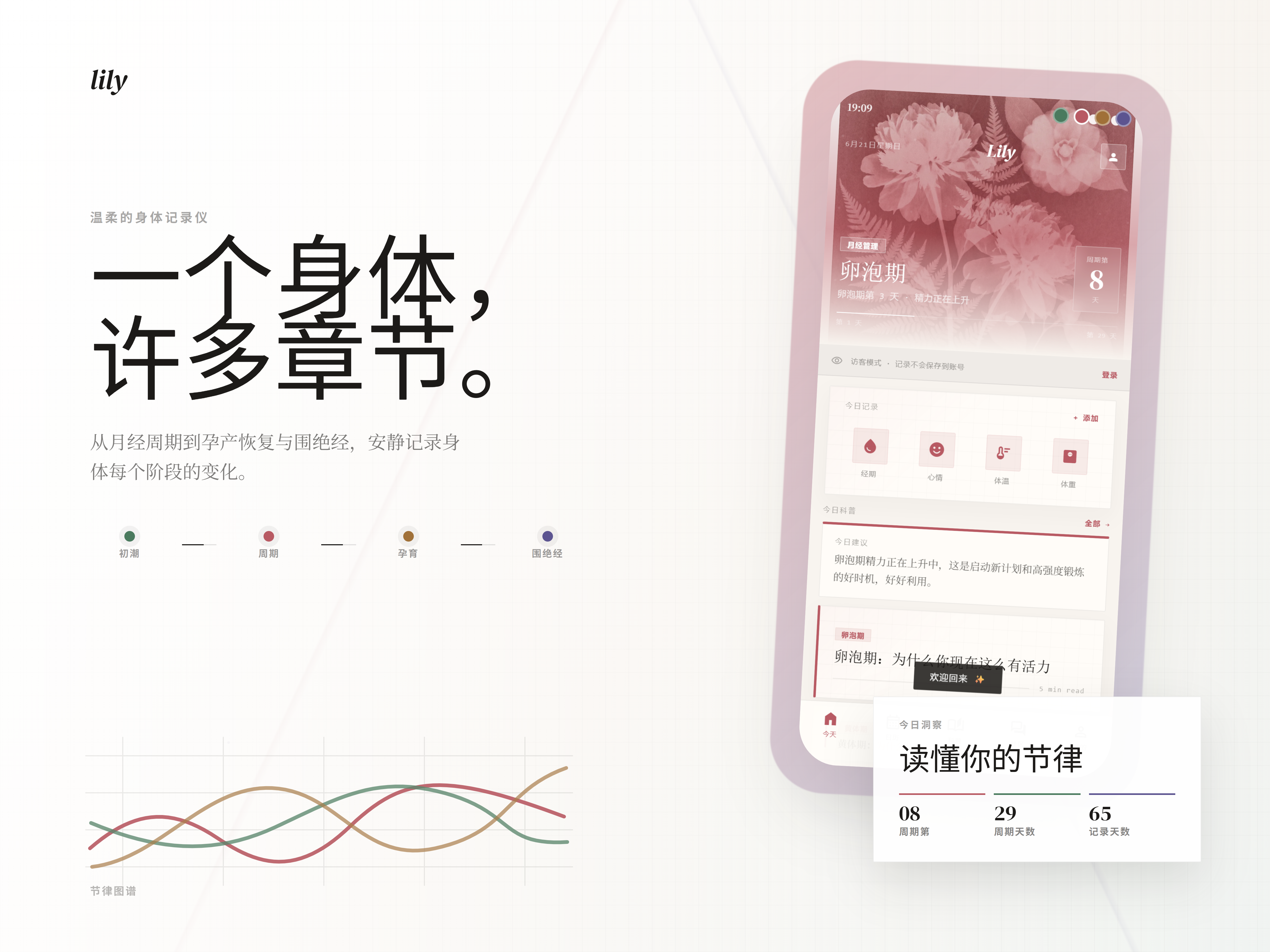Lily 产品封面